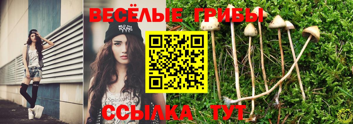 Псилоцибиновые грибы GOLDEN TEACHER  Вход с VPN  Галлюциногенные грибы мухоморы  Реж 